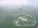 La o baie